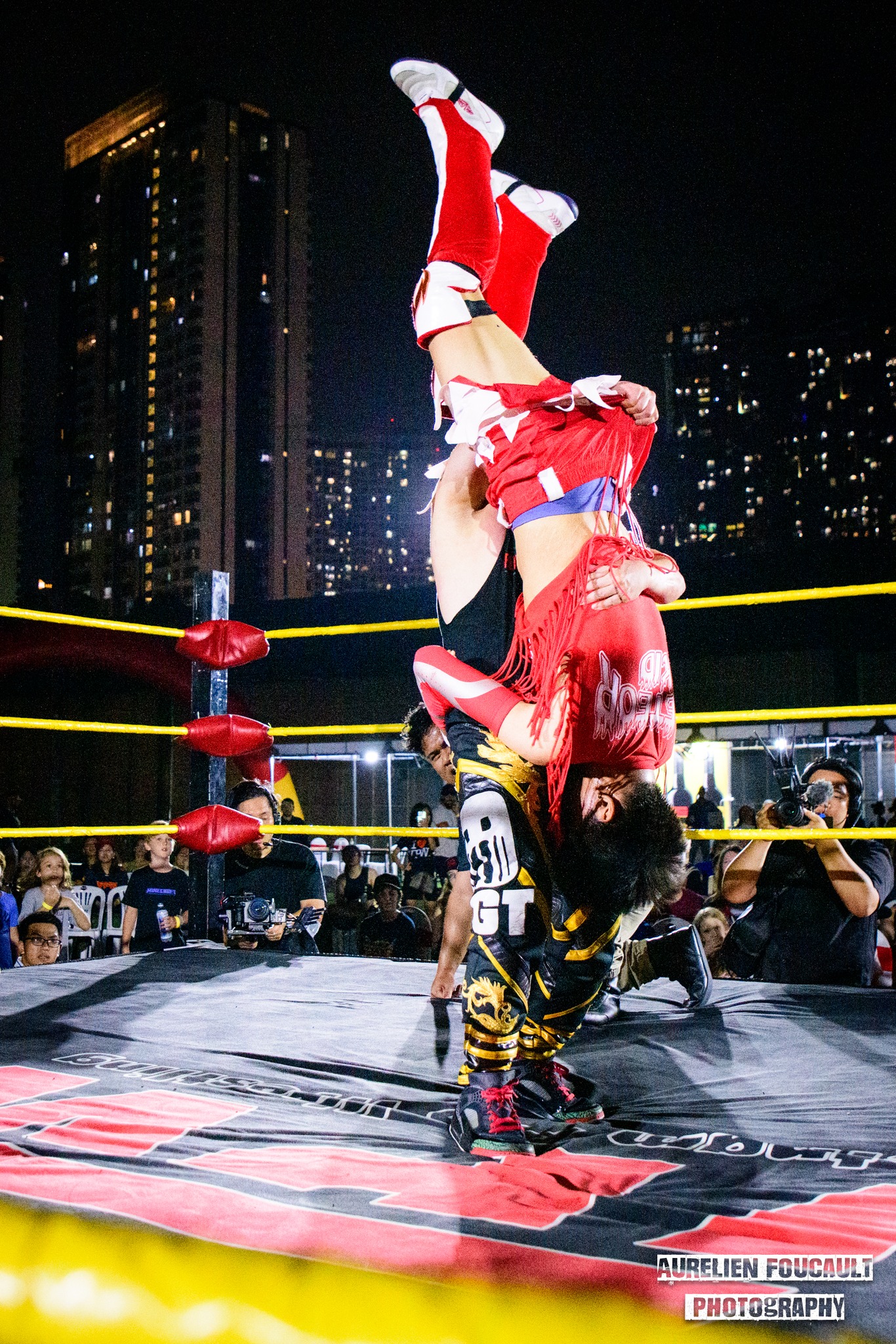Vietnam Pro Wrestling 2