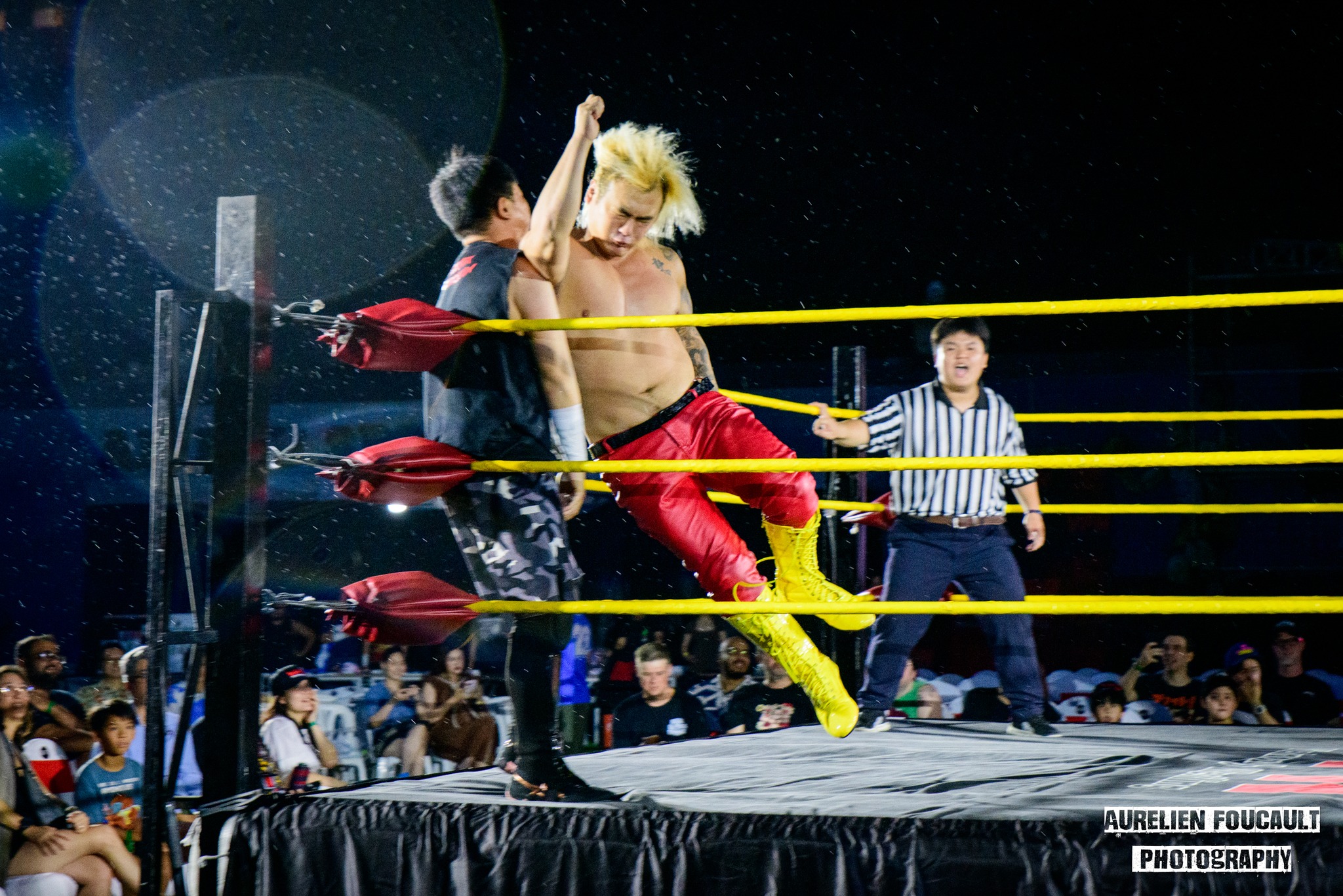 Vietnam Pro Wrestling 4