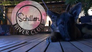 Schiller - River Club