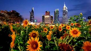 Saigon Riverfront Park